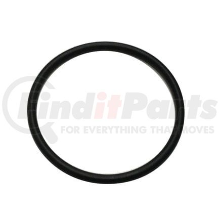 3101662 by CUMMINS - Seal Ring / Washer