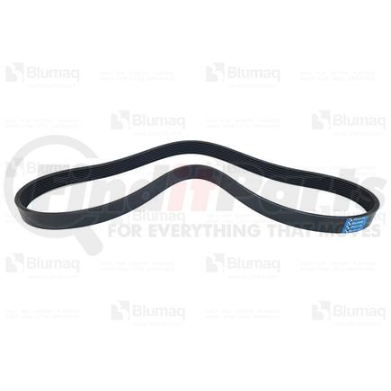 Blumaq 2414982 Serpentine Belt Serpentine Belt - 54.92 in. Long, .10 in. Wide, 8 Ribs