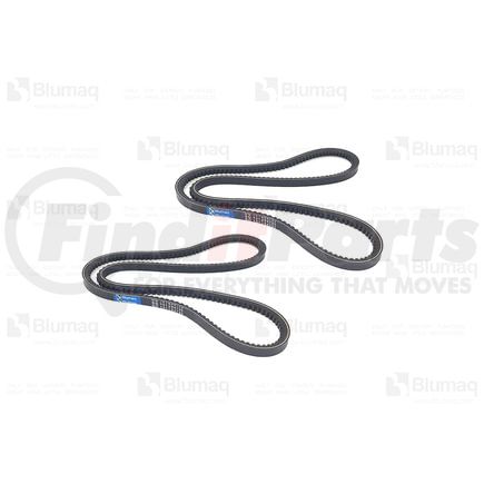 VO13966394 by BLUMAQ - V-Ribbed Belts - Set of 2 fit for Volvo Applications
