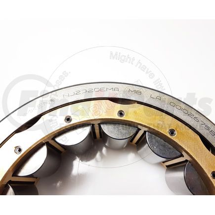 NJ2320EG1C4 by BLUMAQ - BEARING