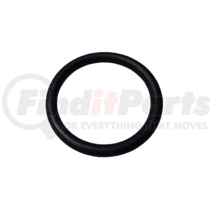70624 by CUMMINS - Seal Ring / Washer