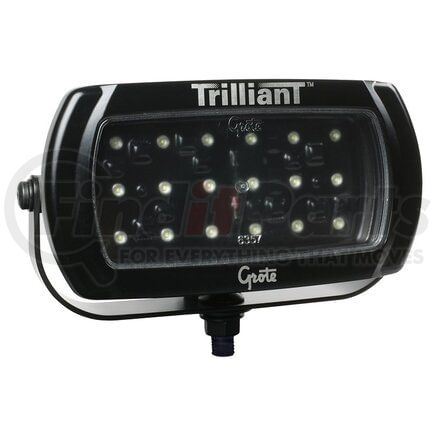 Grote 63761 Work Light Trilliant LED WhiteLight� High-Output Work Lamp, Wide Flood
