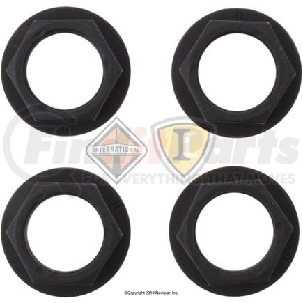 974497R1 by INTERNATIONAL - Nut - Companion Flange Drive Tube, Navistar Compatible