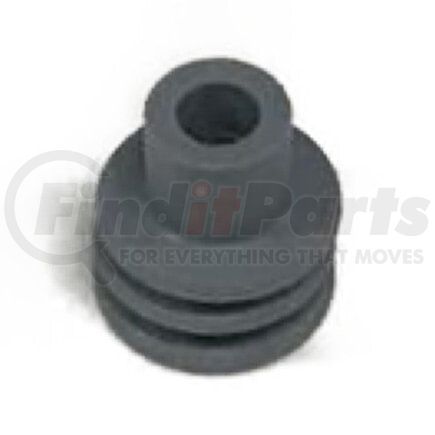 589391C1 by INTERNATIONAL - Sealant Loose Piece Plug, Navistar Compatible