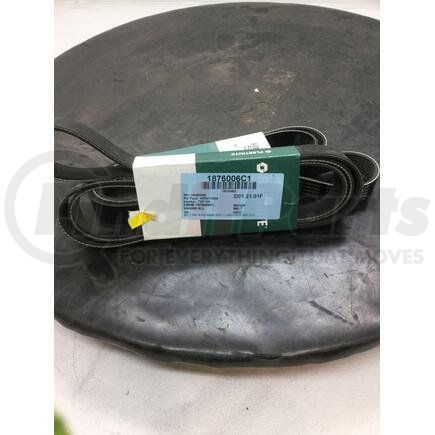 1876006C1 by INTERNATIONAL - BELT 8PK 79.72