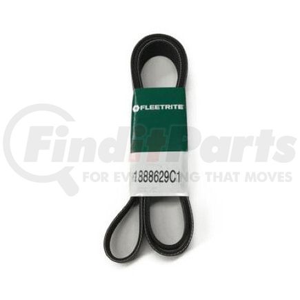 1888629C1 by INTERNATIONAL - Accessory Drive Belt, Navistar Compatible