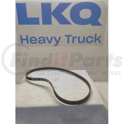 1830641C2 by INTERNATIONAL - BELT 6 PK.48.82