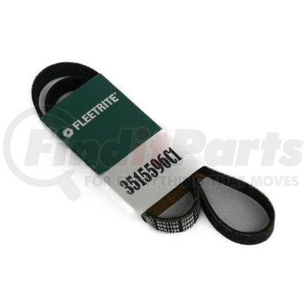 3515596C1 by INTERNATIONAL - Accessory Drive Belt, Navistar Compatible