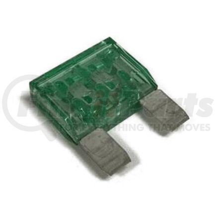 MAX30 by INTERNATIONAL - Fuse - 30Amp, Navistar Compatible