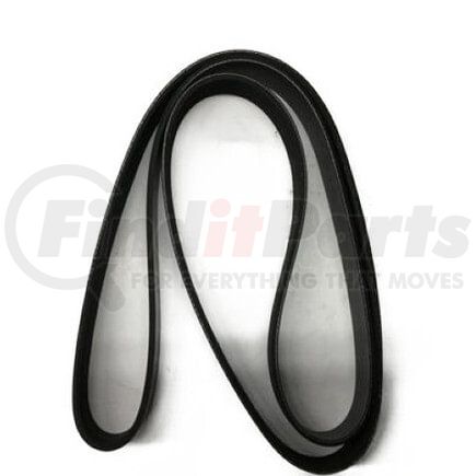 2513525C1 by INTERNATIONAL - Accessory Drive Belt, Navistar Compatible