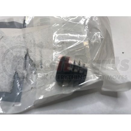 3924405C1 by INTERNATIONAL - Plug Button Ldpe-*, Navistar Compatible