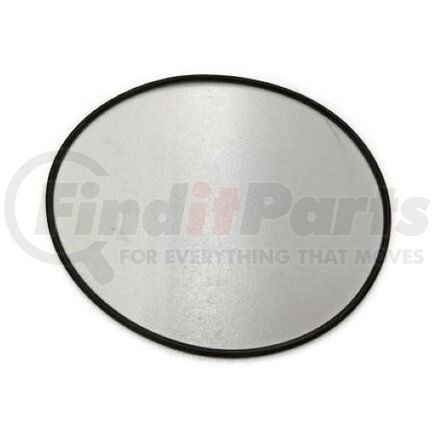 3007036C1 by INTERNATIONAL - Engine Cylinder Head O-Ring, Navistar Compatible