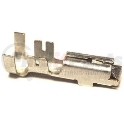 3512334C1 by INTERNATIONAL - Electrical Cables Terminals - Sealed Tangless, Navistar Compatible