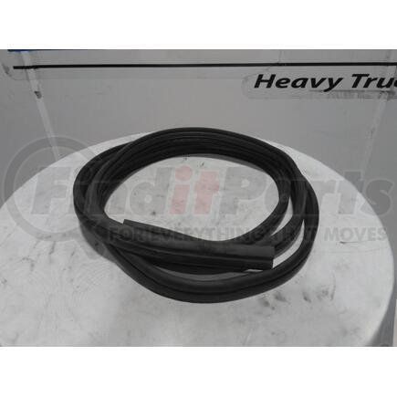 4081318C5 by INTERNATIONAL - SEAL, PRIMARY DOOR SEAL
