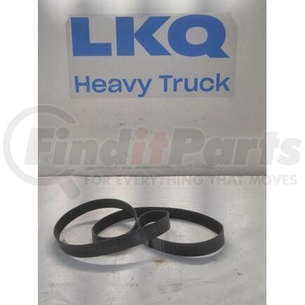 4149404C1 by INTERNATIONAL - V-Ribbed Belts - 12PK 2410M, Navistar Compatible