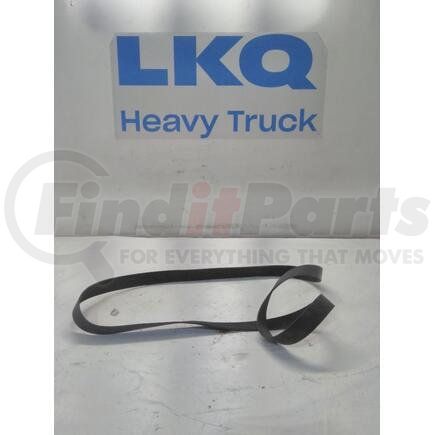 4223186C1 by INTERNATIONAL - Accessory Drive Belt - Fan, 12PK2390