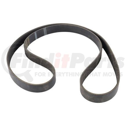 R123439 by JOHN DEERE - SERPENTINE BELT