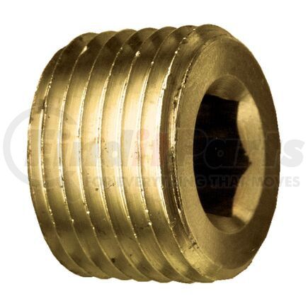 WA01-6015 by WORLD AMERICAN - Pipe Plug, Brass, 1/8", Hex Countersunk