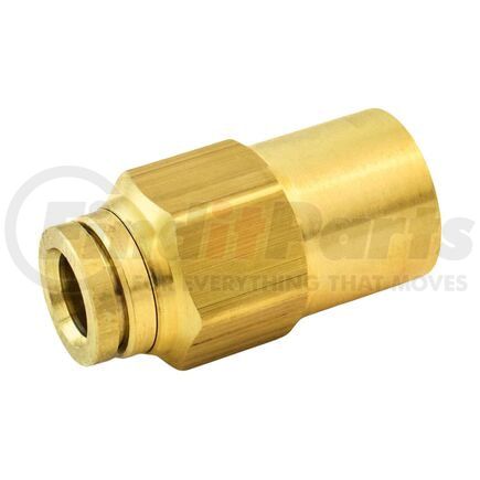 WA01-6293 by WORLD AMERICAN - BR PL F STR CONN 1/4 X 1/4 Q5