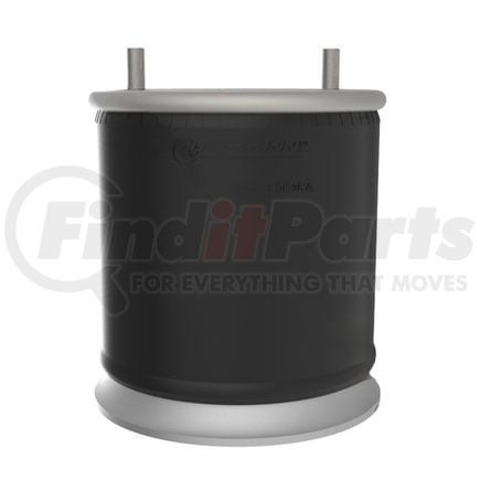 AB1DK28A-8050 by AUTOMANN - Air Spring Roll