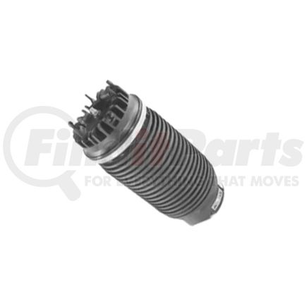 68260938AB by MOPAR - SPRING