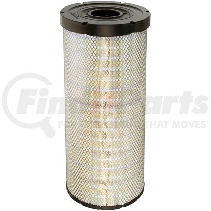 CA10768 by FRAM - Air Filter