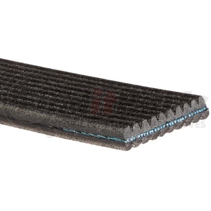 ACDelco 10DK744 Serpentine Belt