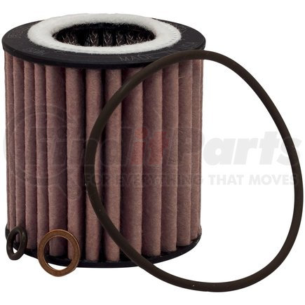 XG10075 by FRAM - Cartridge Oil Filter