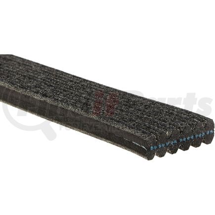 6DK519 by ACDELCO - Double-Sided V- (B)