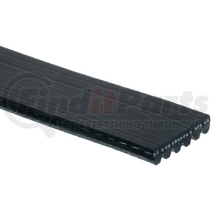 6K426 by ACDELCO - V-Ribbed Serpen (B)