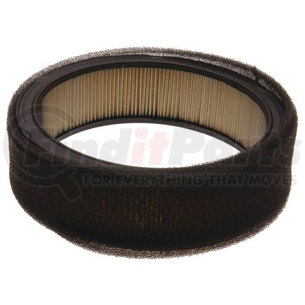 A1170C by ACDELCO - Air Filter