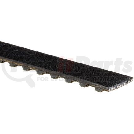TB037 by ACDELCO - Timing Belt