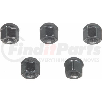 Wagner BD125919 Wheel Lug Nut Wagner BD125919 Wheel Nut