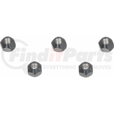 BD125923 by WAGNER - Wheel Nut