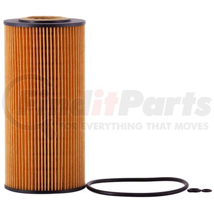 PG5259 by PREMIUM GUARD - pg5259