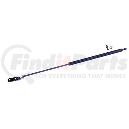610937 by TUFF SUPPORT - Liftgate Lift Support