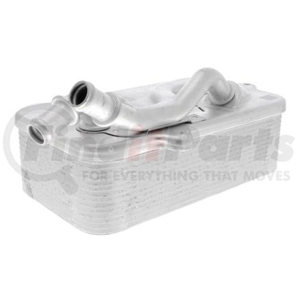 V15600011 by VEMO - Oil Cooler, automatic transmission