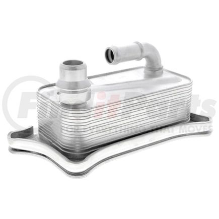 V15600012 by VEMO - Oil Cooler, engine oil