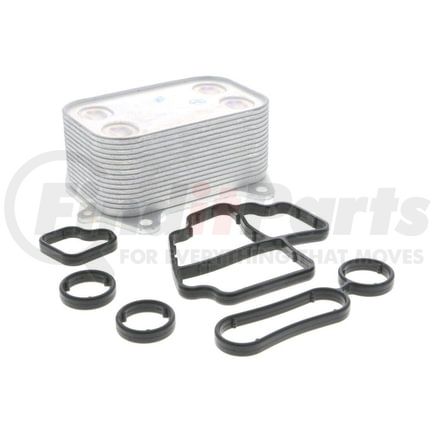 V15606061 by VEMO - Oil Cooler, engine oil
