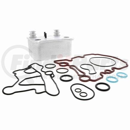 V25600038 by VEMO - Radiador de aceite, aceite mot