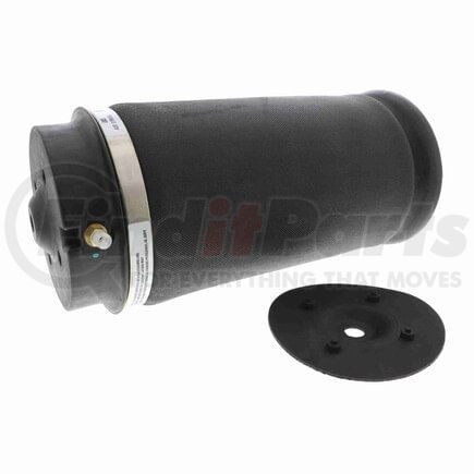 V305000081 by VEMO - Amortiguador telescópico neumá