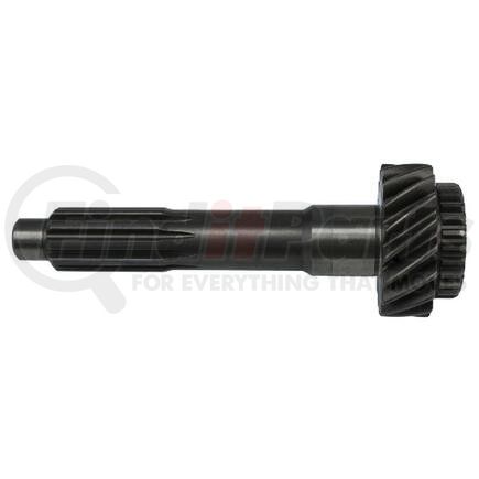 239808 by NEWSTAR - INPUT GR