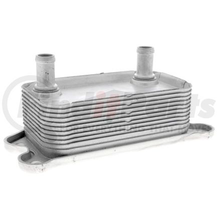 V95600012 by VEMO - Oil Cooler, engine oil