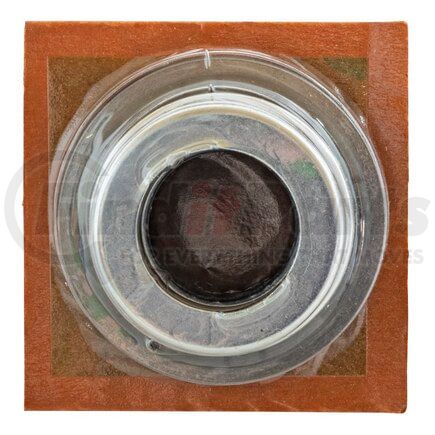 331601 by BLACKMER - BLACKMER