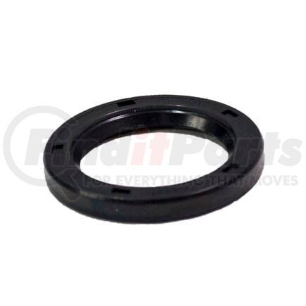 331908 by BLACKMER - BLACKMER