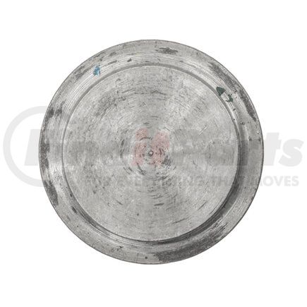 421805 by BLACKMER - BLACKMER