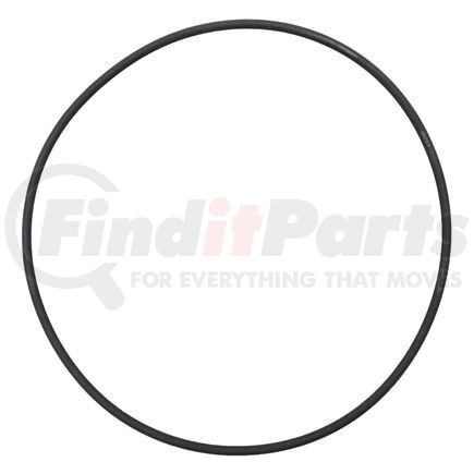 250-020-0025 by D&W - D&W Freightliner O-Ring