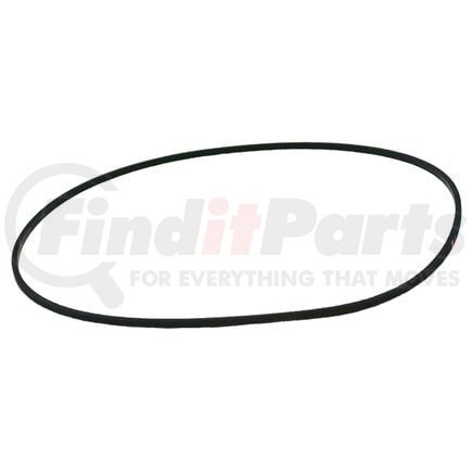 701944 by BLACKMER - BLACKMER