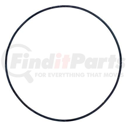 702039 by BLACKMER - BLACKMER