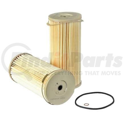 P552024 by DONALDSON - FF/WS